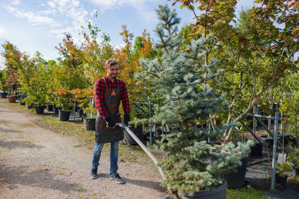 Best Root Management and Removal  in Penn Estates, PA